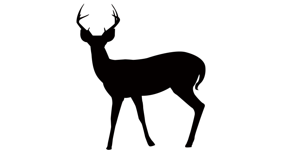 ウエーデルンのご褒美ジャーキー